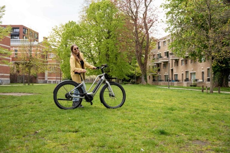 Dutch ID Flow elektrische fiets