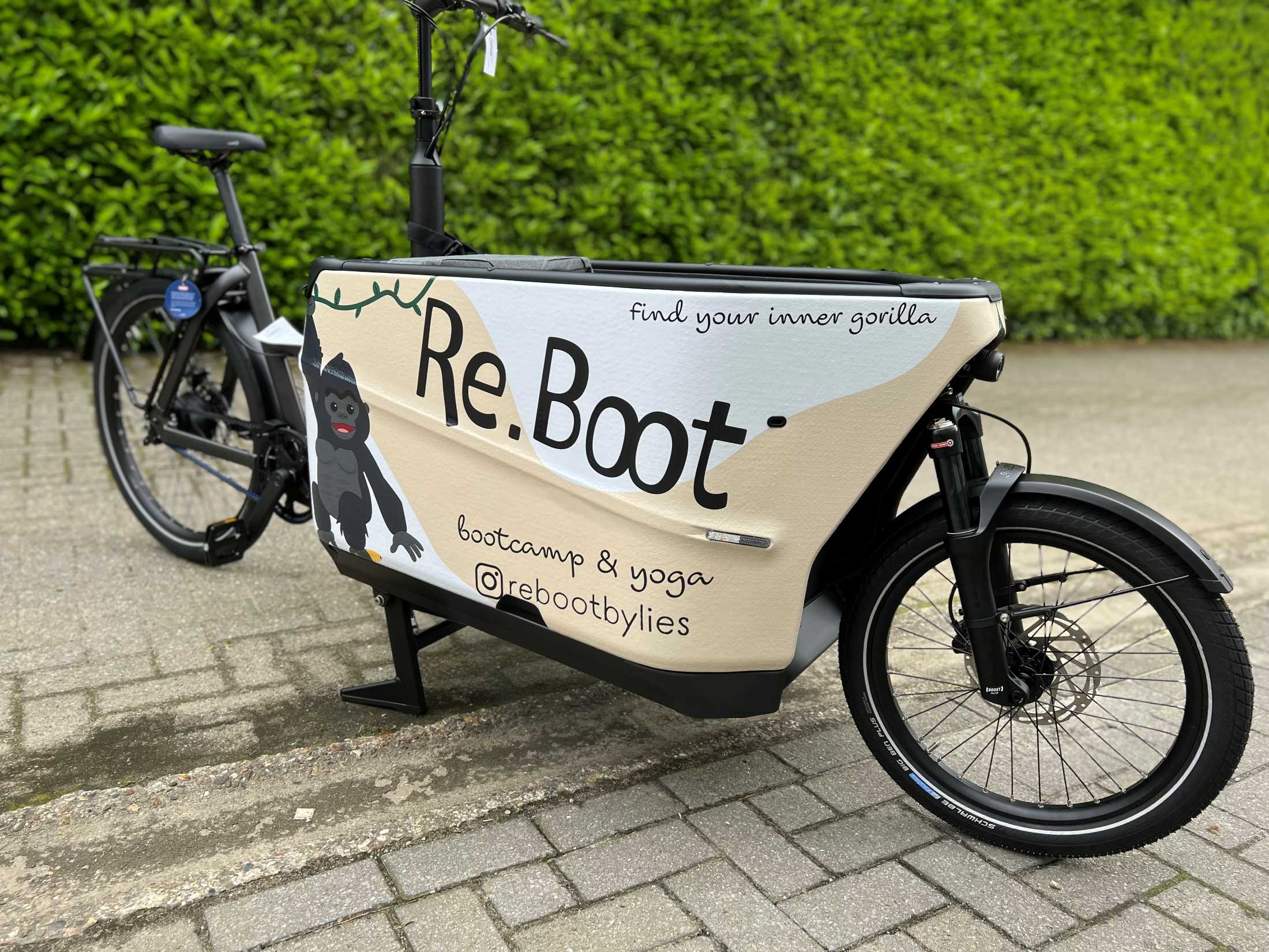 Bikewrapping Antwerpen